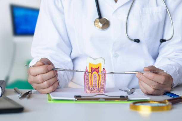 Best Emergency Wisdom Tooth Extraction in Mount Pleasant, NC